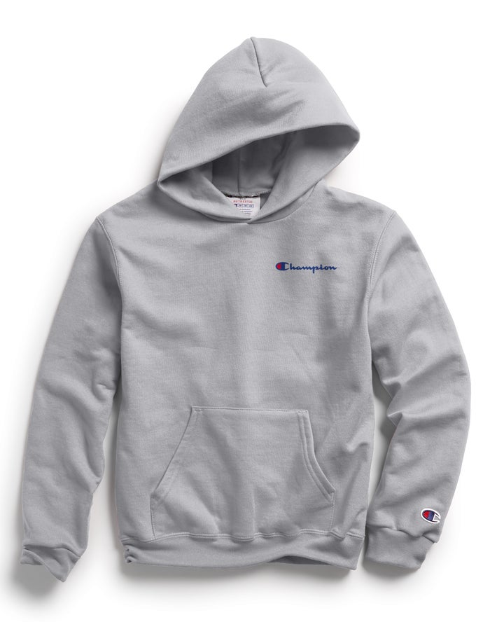 Champion Drenge Hættetrøje Grå - Double Dry Script Logo - Danmark JVD-481093